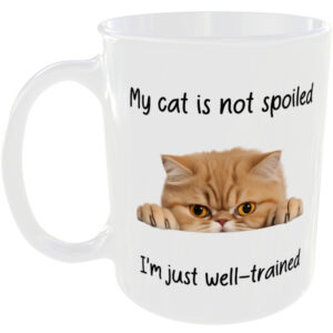 Exotic Shorthair Cat  - Funny Gift Mug