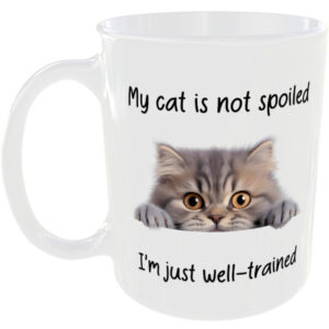 Persian Cat  - Funny Gift Mug