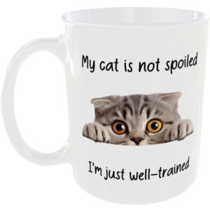 Scottish Fold Cat  - Funny Gift Mug