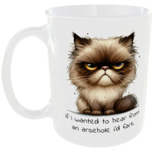 If I wanted to hear an Arsehole id Fart - Funny Mug