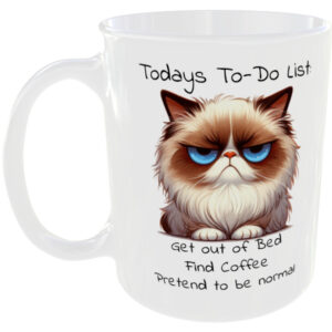 Todays todo list - Funny Mug