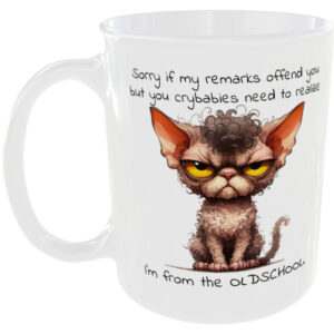sorry if i offend you im oldschool - Funny Mug