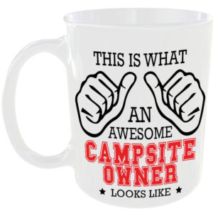 This is what an awesome Campsite Owner looks like - gift mug