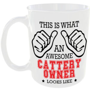 This is what an awesome Cattery Owner looks like - gift mug
