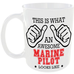 This is what an awesome Marine Pilot looks like - gift mug