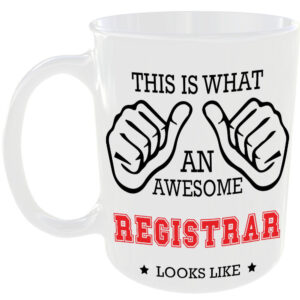 This is what an awesome Registrar looks like - gift mug
