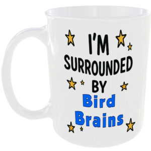 IM SURROUNDED BY BIRD BRAINS MUG FUNNY INSULT GIFT OFFICE WORK HOME FAMILY CUP