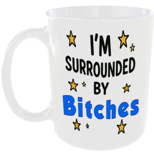 SURROUNDED BY BITCHES MUG FUNNY INSULT GIFT OFFICE WORK HOME FRIEND SISTERS CUP