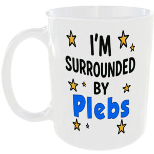 IM SURROUNDED BY PLEBS MUG FUNNY INSULT GIFT OFFICE WORK HOME COFFEE KITCHEN CUP