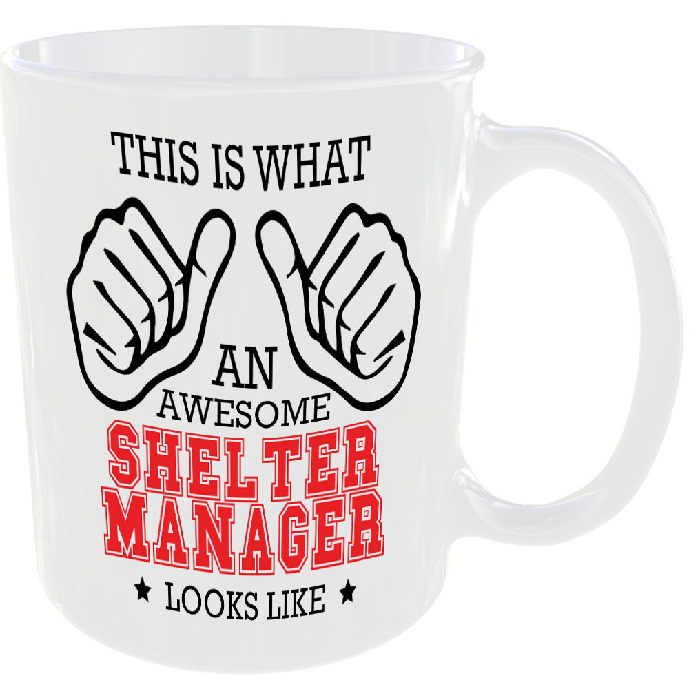 WHAT A AWESOME SHELTER MANAGER LOOKS LIKE MUG IDEAL GIFT CUP FOR WORK JOB CAREER - Image 2