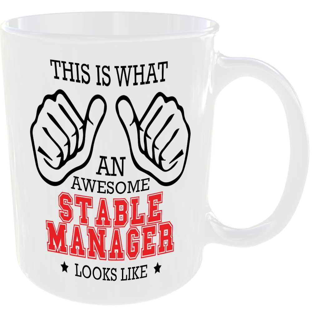 WHAT AN AWESOME STABLE MANAGER LOOKS LIKE MUG IDEAL GIFT CUP FOR WORK JOB CAREER - Image 2