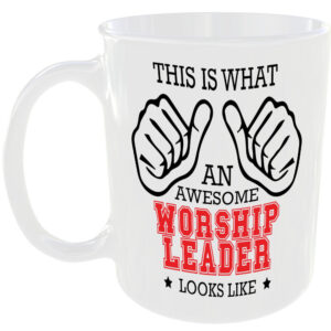 WHAT AN AWESOME WORSHIP LEADER LOOKS LIKE MUG IDEAL GIFT CUP FOR WORK JOB CAREER