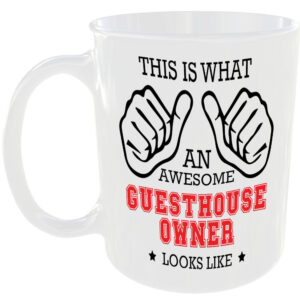 THIS IS WHAT AN AWESOME GUESTHOUSE OWNER LOOKS LIKE MUG IDEAL GIFT CUP FOR WORK JOB CAREER