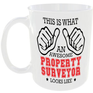 THIS IS WHAT AN AWESOME PROPERTY SURVEYOR LOOKS LIKE MUG IDEAL GIFT CUP FOR WORK JOB CAREER