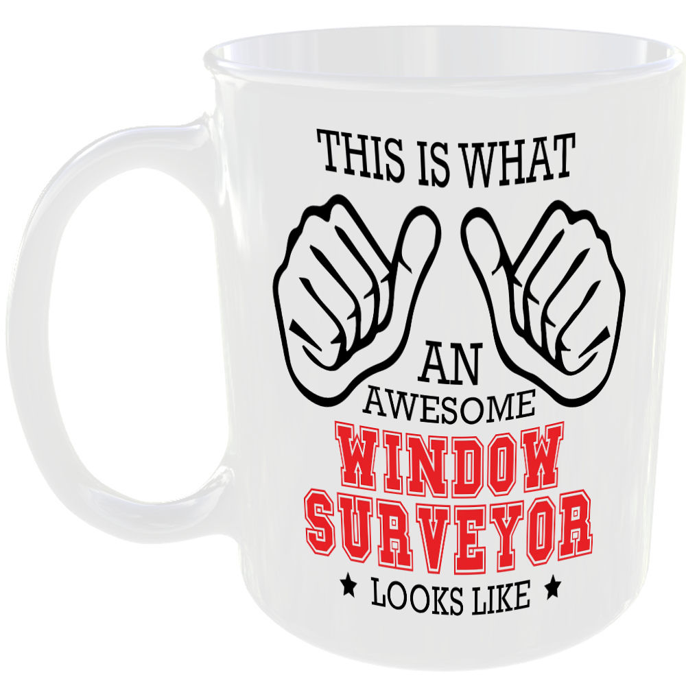 THIS IS WHAT AN AWESOME WINDOW SURVEYOR LOOKS LIKE MUG IDEAL GIFT CUP FOR JOB CAREER