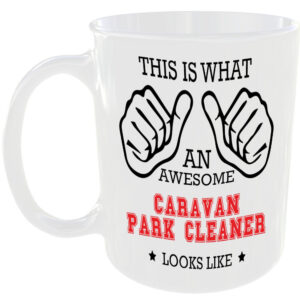 AWESOME CARAVAN PARK CLEANER LOOKS LIKE MUG IDEAL GIFT CUP FOR WORK JOB CAREER