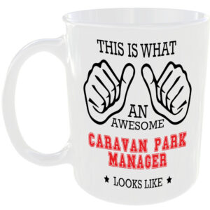 AWESOME CARAVAN PARK MANAGER LOOKS LIKE MUG IDEAL GIFT CUP FOR WORK JOB CAREER