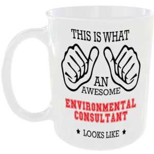 AWESOME ENVIRONMENTAL CONSULTANT LOOKS LIKE MUG IDEAL GIFT CUP WORK JOB CAREER