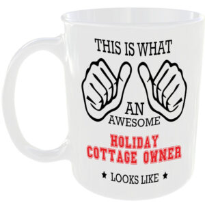 AWESOME HOLIDAY COTTAGE OWNER LOOKS LIKE MUG IDEAL GIFT CUP FOR WORK JOB CAREER