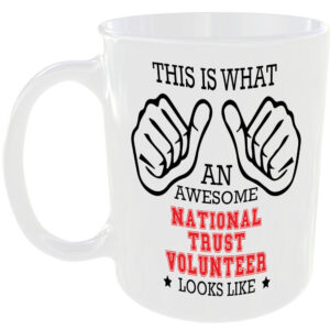 AWESOME NATIONAL TRUST VOLUNTEER LOOKS LIKE MUG IDEAL GIFT CUP WORK JOB CAREER