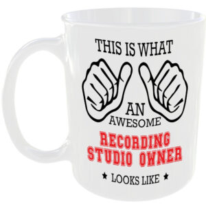 AWESOME RECORDING STUDIO OWNER LOOKS LIKE MUG IDEAL GIFT CUP FOR WORK JOB CAREER
