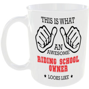 AN AWESOME RIDING SCHOOL OWNER LOOKS LIKE MUG IDEAL GIFT CUP FOR WORK JOB CAREER