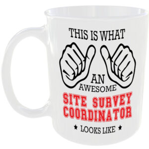 AWESOME SITE SURVEY COORDINATOR LOOK LIKE MUG IDEAL GIFT CUP FOR WORK JOB CAREER